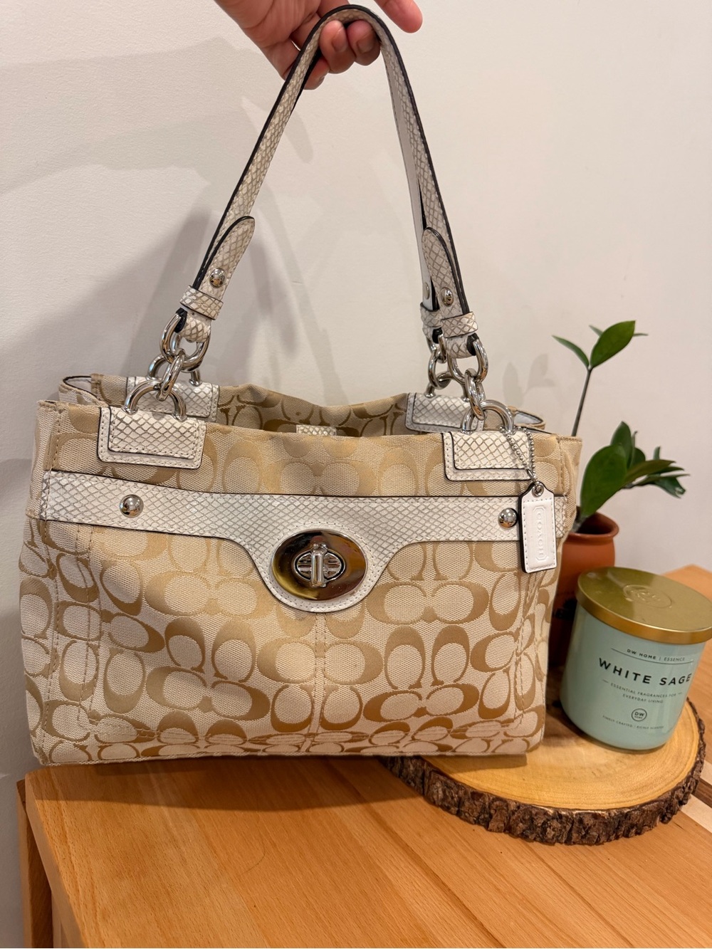 🍁🍂VINTAGE Coach Penelope Carryall Tote Bag F16540
